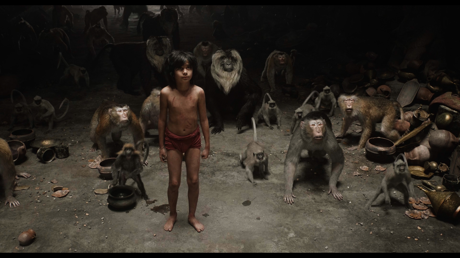 Still 2025 11 01 162226 1.1.2